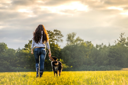 Janine Wolf | Bunt um den Hund Schellbachstraße 9, 61440 Oberursel (Taunus), Deutschland