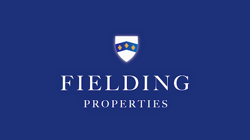 Fielding Properties - Visual
