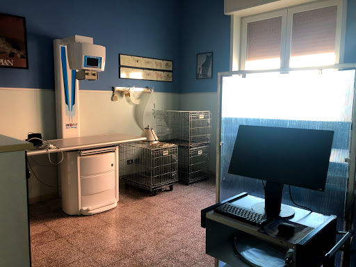Ambulatorio Veterinario "Salvatore Pepe" - Thumbnail