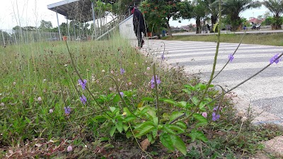Photos of Lapangan Bessai Berintai Lang-lang