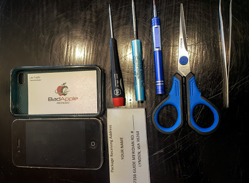 BadApple Repairs - Visual