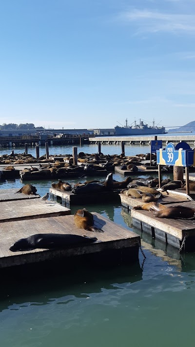 Sea Lion Viewing Area