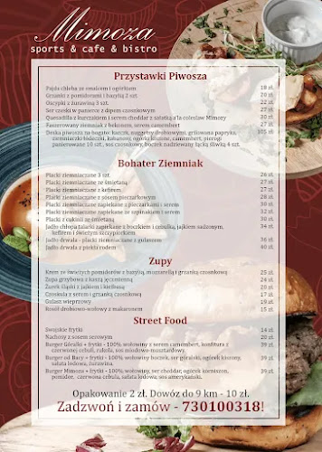http://www.mimoza-bielsko.com.pl/