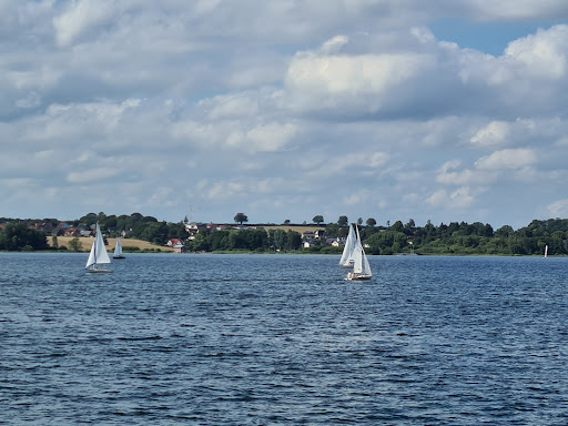 Shipping Ratzeburger See GmbH & Co. KG