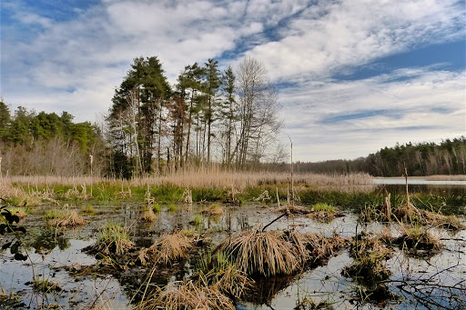 Oberer Altenteich - Thumbnail