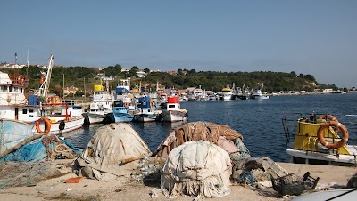 Port İğneada