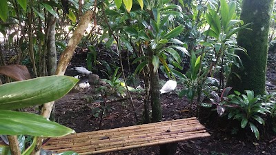 Photos of Bioparque Paradise