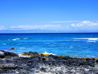 Waikōloa Anchialine Pond Preservation Area