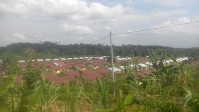 local-government-office