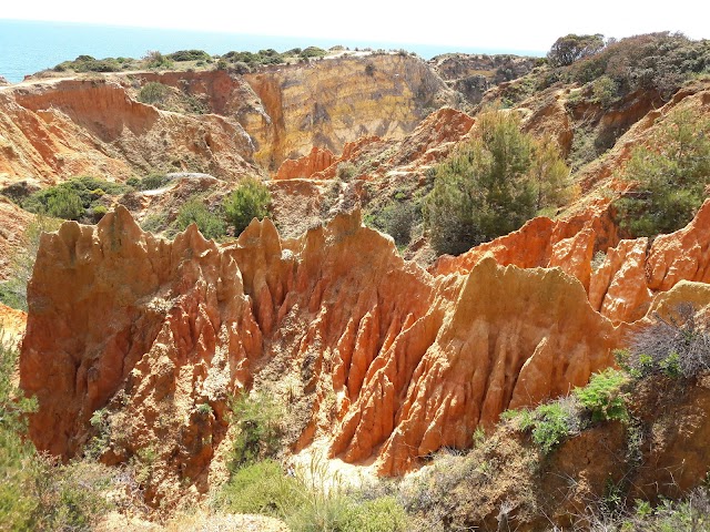 Praia de João de Arens