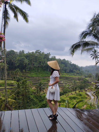 Satya Bali Tours