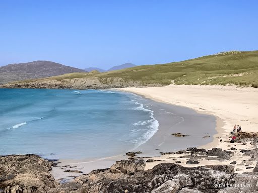 Western Isles Wildlife - Outer Hebrides Bird Tours and Latest Sightings