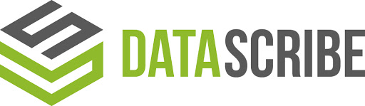 Data Scribe Solutions - Visual