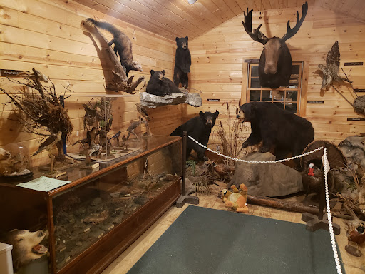 DAR Campgrounds - Visual