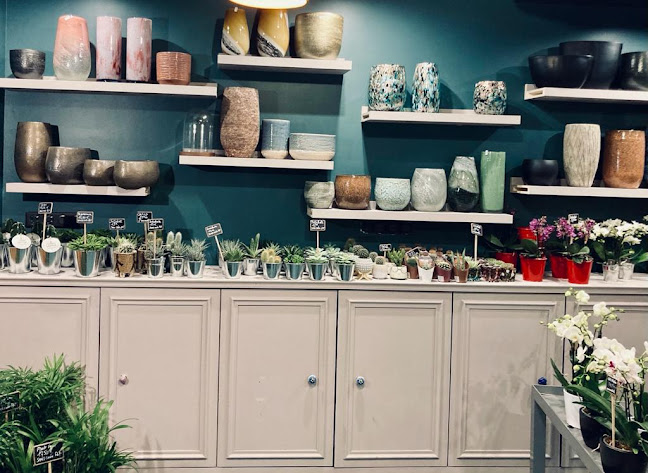 Opinii despre Les Lys de Boulogne | Fleuriste Boulogne-Billancourt în Boulogne-Billancourt - Fleuriste