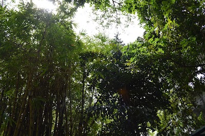 Photos of រោងភាពយន្ត