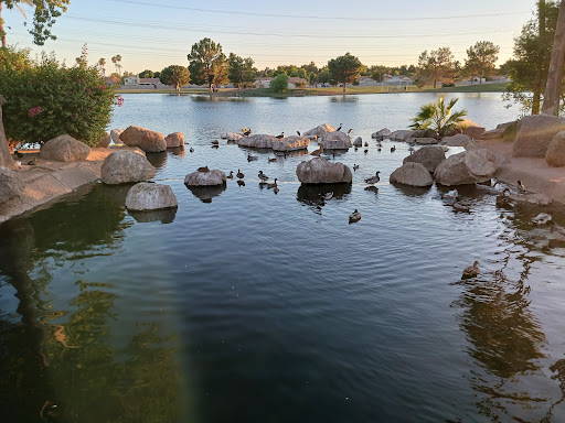 Freestone District Park - Visual