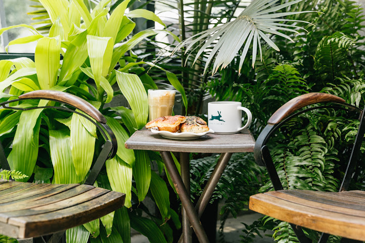 Vault + Vine by null