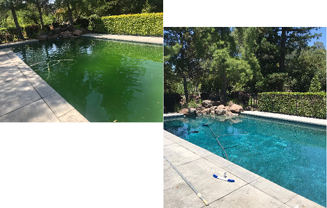 post-image-1
