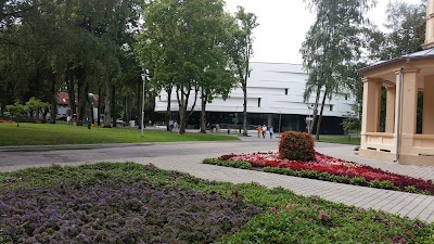 Photos of Cinema "Naglis"
