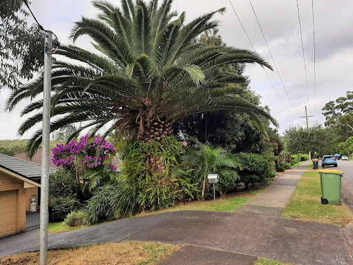 Batemans Bay Podiatry - Thumbnail