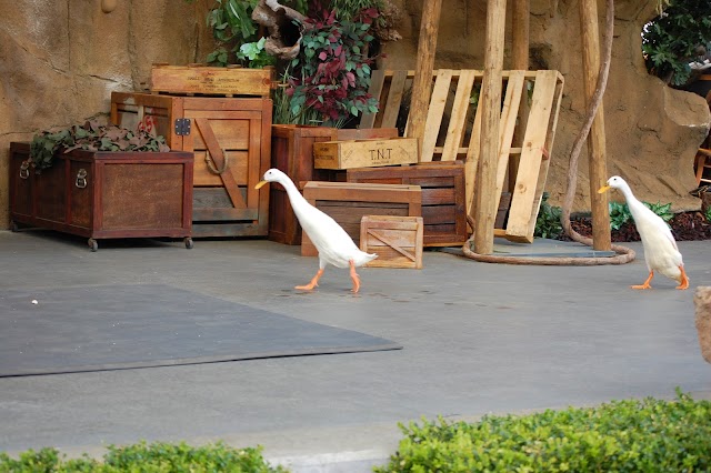 Zoo et Aquarium de Point Defiance