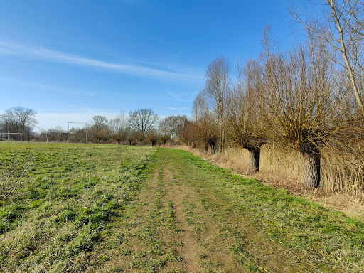 Looierspark - Thumbnail