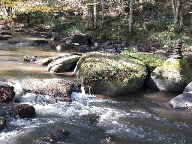 Arboretum de la Sédelle