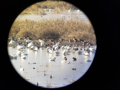 Shady Maple Wildlife Overlook