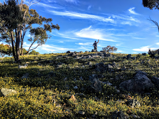 Mt Ida Lookout - Thumbnail