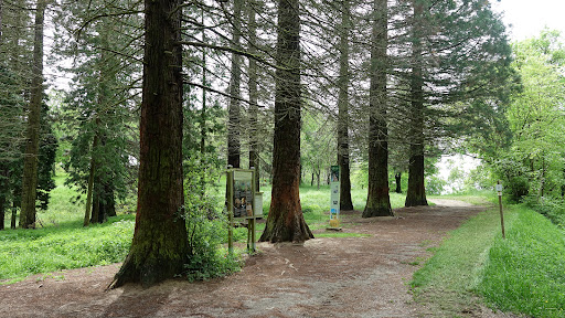 Forstliches Arboretum Liliental Gallery - Germany
