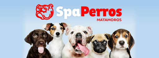 Clínica Veterinaria SpaPerros
