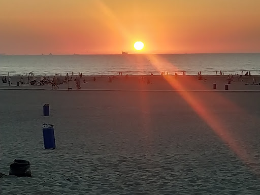 Camping Hoek van Holland - ONS.Recreatieoord - Thumbnail