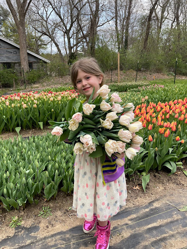 Blush In Bloom - Thumbnail