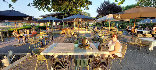 Terras Maasoever - Thumbnail