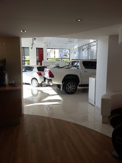 car-dealer