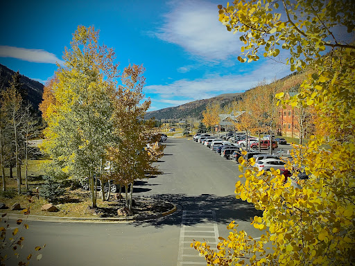 Telluride School District
