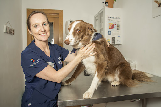 Clínica Veterinaria CalviaVet