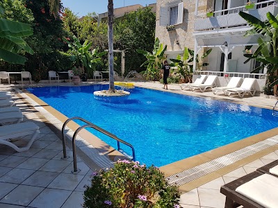 Photos of Villa Tasos