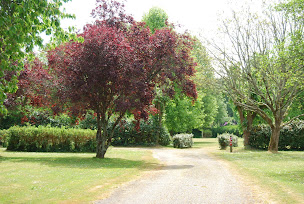 Photo n°32 de Camping de Rodaven à Châteaulin (Terrain de camping)