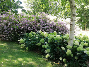 Photo n°10 de E.Richard à Morangis (Jardinier)