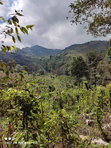 Teyahuala