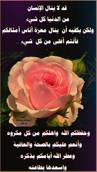Photos of محلات اركان روز