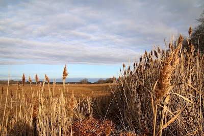 Doug Rayner Wildlife Refuge