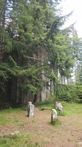 Glassel Stone Circle - Thumbnail