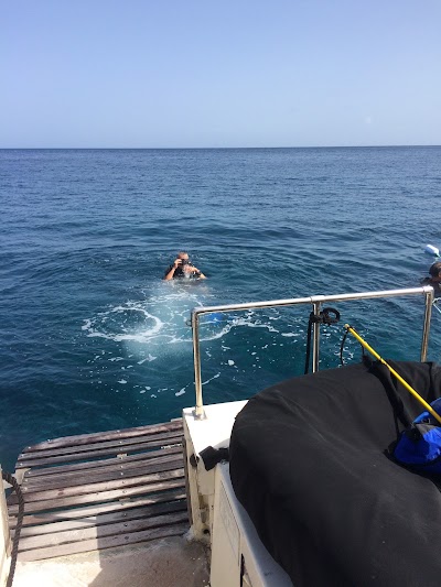 Photos of J C Ocean Adventures