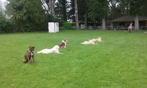Club Canin Sommerviller Gallery - France
