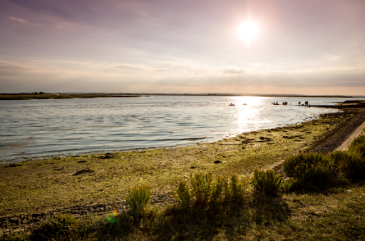 Steeple Bay Holiday Park - Thumbnail