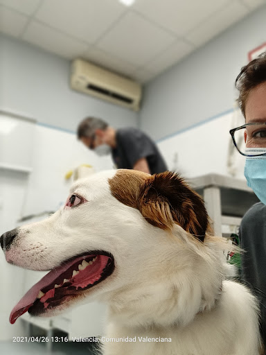 CLÍNICA VETERINARIA PARQUE CENTRAL