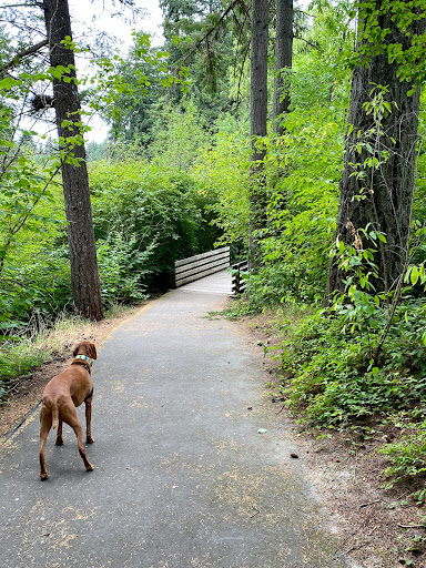 Brookhaven Park - Visual